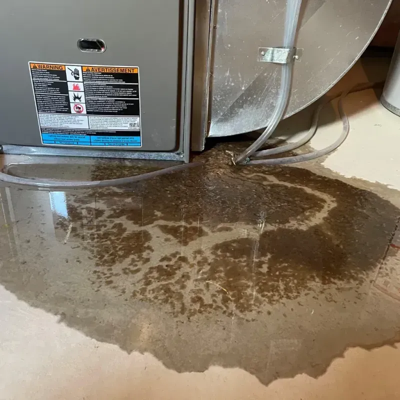 Appliance Leak Cleanup in Mecca, CA